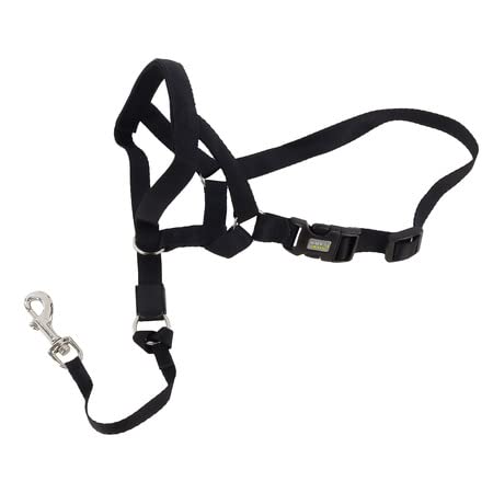 Coastal Pet - Walk 'n Train - Dog Head Halter - Black - Medium - Size 2 - PawsPlanet Australia