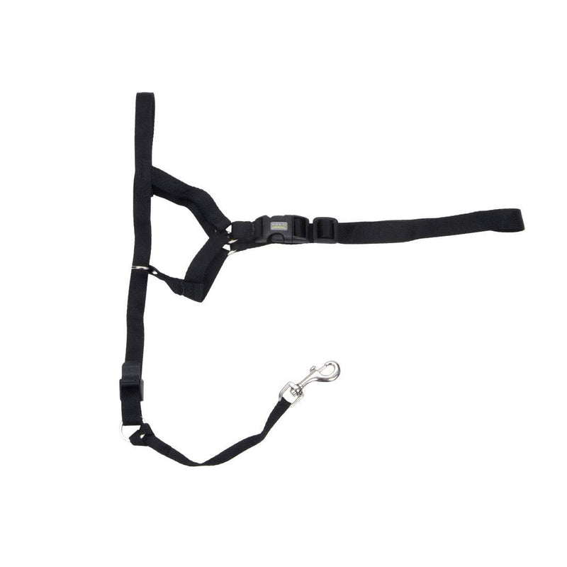 Coastal - Walk 'n Train! - Dog Head Halter, Black, XLG (4) - PawsPlanet Australia