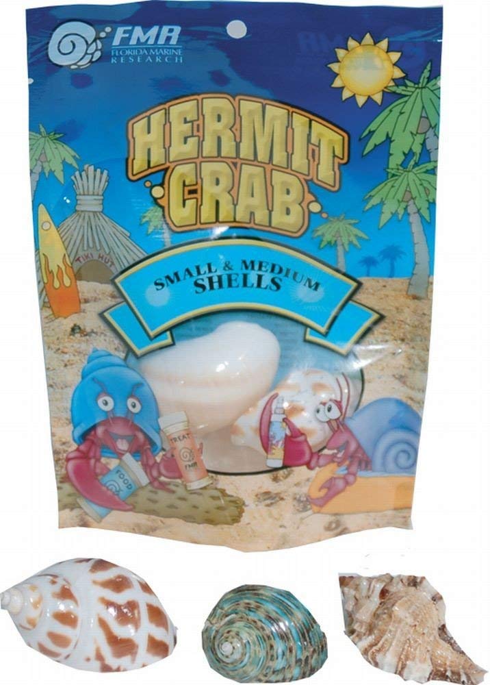 [Australia] - Florida Marine Research SFM33332 Hermit Crab Shell, Medium,  3-Piece per Pack 