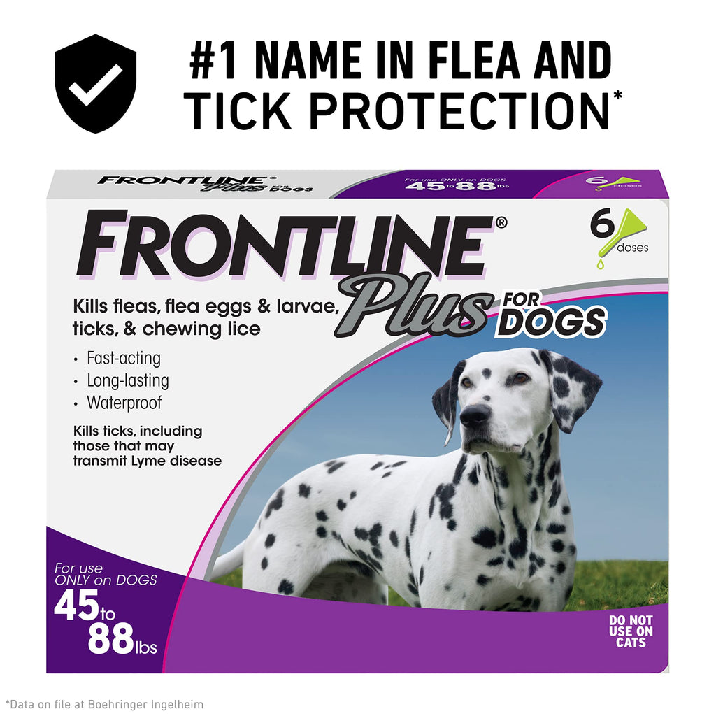 Frontline Plus Flea and Tick Treatment for Dogs (Large Dog, 45-88 Pounds, 6 Doses) - PawsPlanet Australia