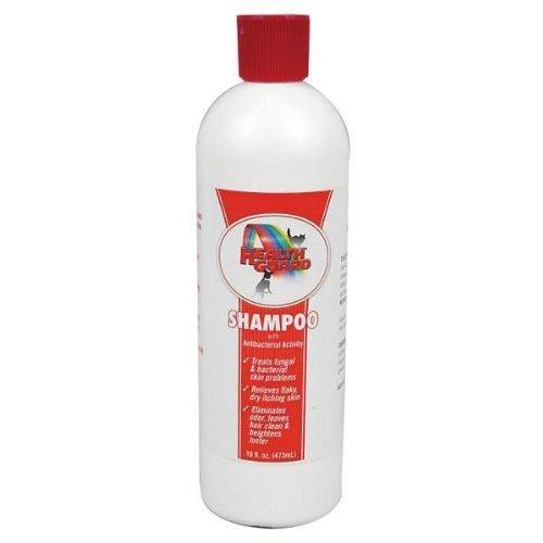 [Australia] - HealthGuard Antibacterial Shampoo - 16 ounce 