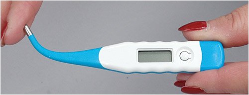 Flexible Digital Thermometer - PawsPlanet Australia