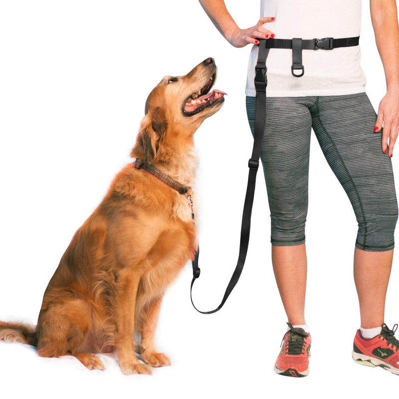 The Buddy System Hands Free Dog Leash, Adjustable Leash for Running, Jogging, Training and Service Dogs, Great for Small, Medium and Large Dogs, Made in USA Regular Belt (22"- 40" Waist) Black - PawsPlanet Australia