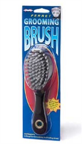 Marshall Ferret Grooming Brush - PawsPlanet Australia
