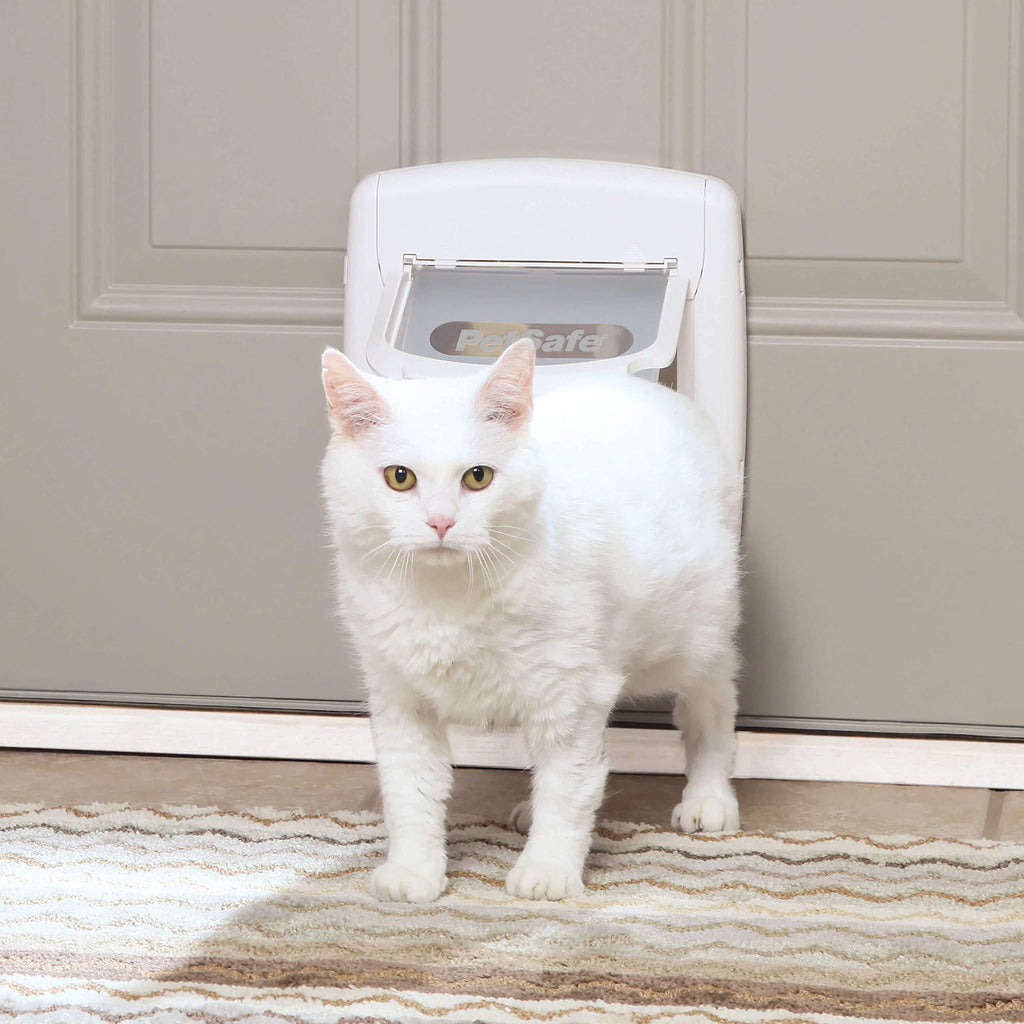 PetSafe Cat Door or Staywell Big Cat Large Cat Door for Interior Doors or Exterior Doors (Outer Size 11.4 in x 11.4 in) - 4-Way Locking, Weatherproof - For Regular Size or Large/XL Cats (up to 25 lbs) 4-Way Locking Door - PawsPlanet Australia