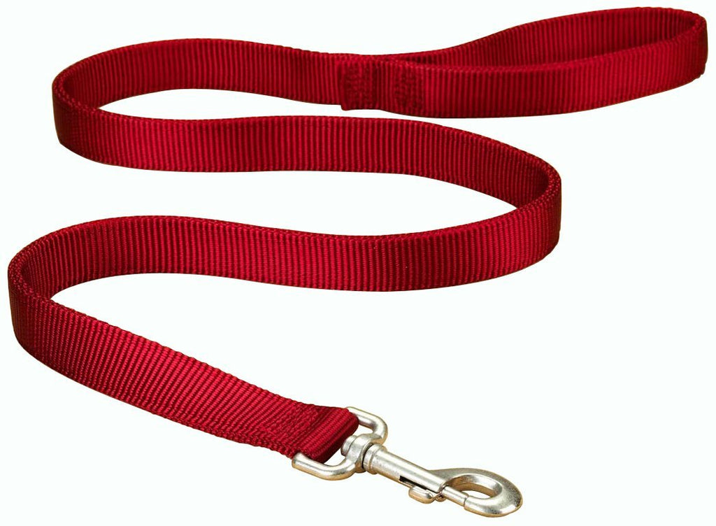 [Australia] - Hamilton Double Thick Nylon Dog Training Lead, 1-Inch by 6-Feet, Red 