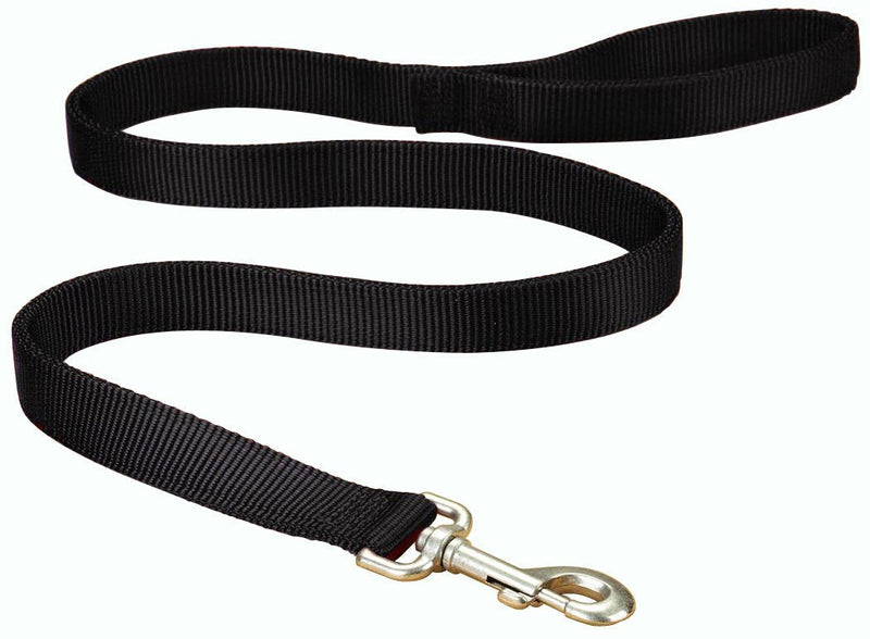 [Australia] - Hamilton Double Thick Nylon Dog Walking Lead Total Length Including Loop Handle, 1-Inch by 4-Feet, Black 