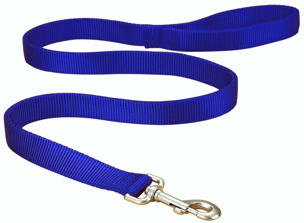 [Australia] - Hamilton Double Thick Nylon Dog Walking Lead, 1-Inch by 4-Feet, Blue 