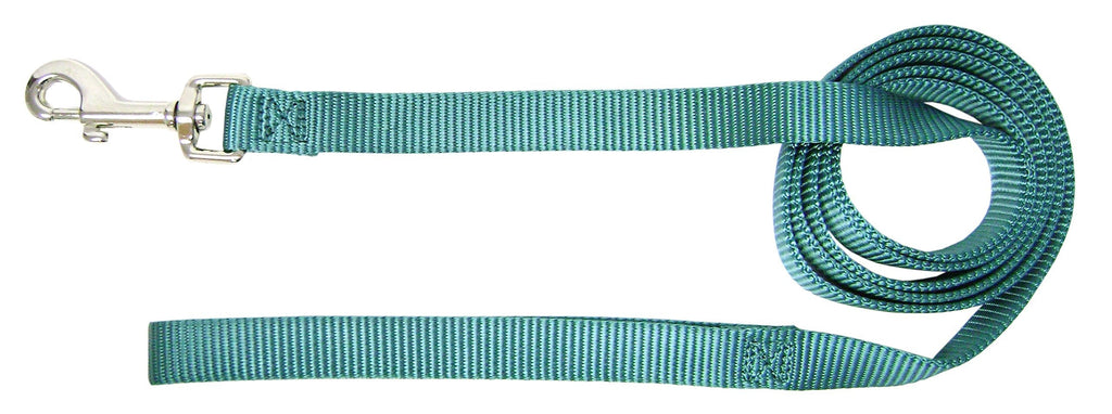 [Australia] - Hamilton 3/4-Inch Single Thick Nylon Lead with Swivel Snap, 6-Feet Long, Teal 