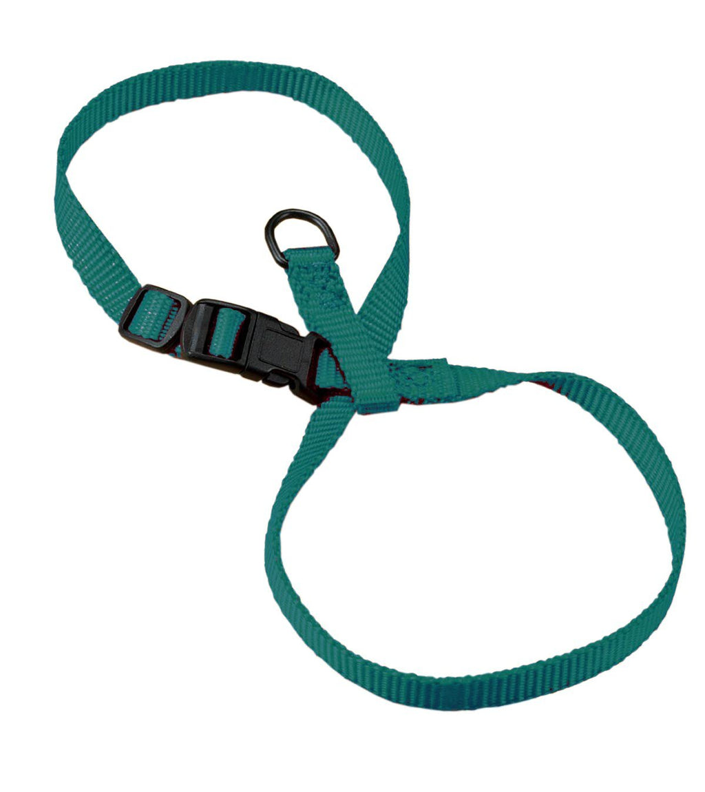 [Australia] - Hamilton 3/8-Inch Adjustable Figure 8 Pup-Cat Harness, Large, Teal 