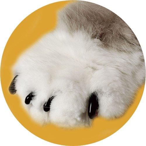 [Australia] - Canine Soft Claws Dog and Cat Nail Caps Take Home Kit, Large, Black 