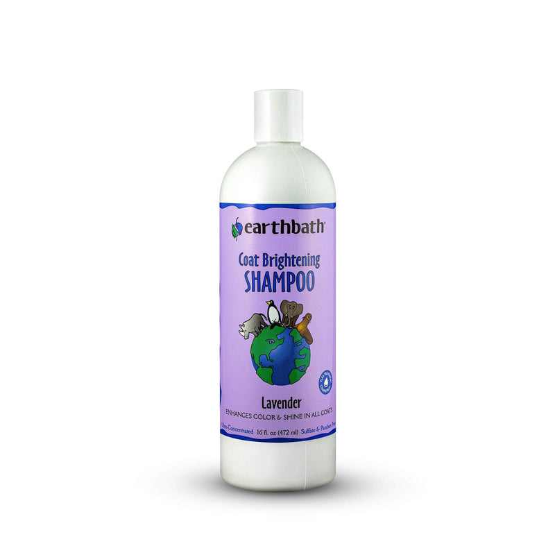 Earthbath Coat Brightening Shampoo for Dogs & Cats – Enhances Color & Shine in All Coats, Made in the USA – Lavender, 16 oz - PawsPlanet Australia