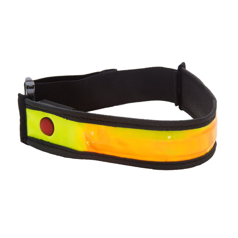 [Australia] - Planet Bike Bright Pant Strap, Illuminated Dog Collar, Jogging Arm Band, Battery Operated, Easy to Wear, Safe for Dogs 