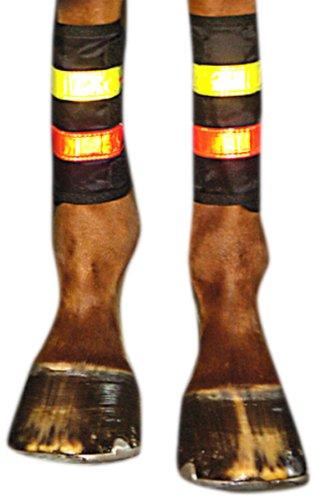 Intrepid International Reflective Leg Wraps - PawsPlanet Australia