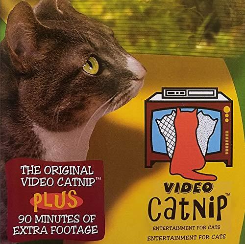 [Australia] - Video Catnip 