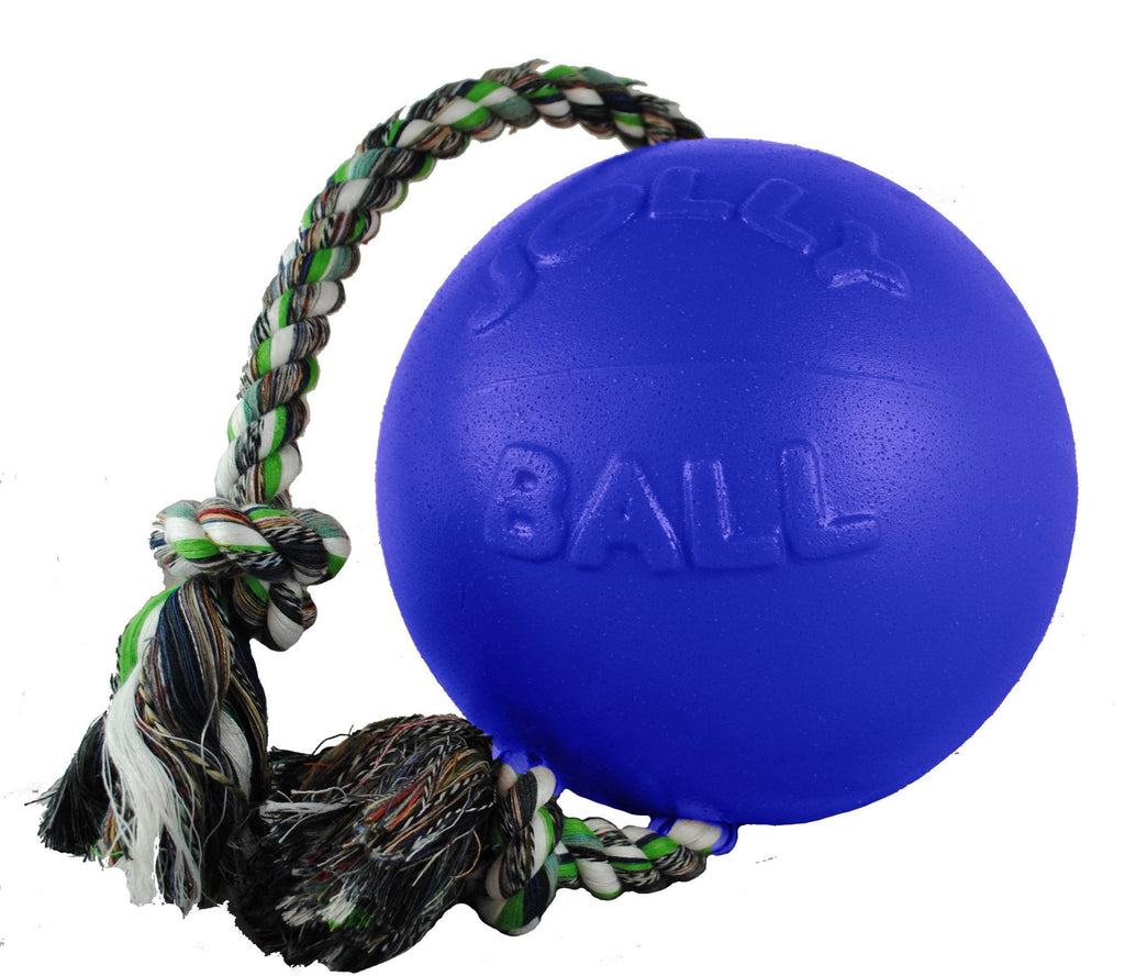 Jolly Pets Romp-n-Roll Rope and Ball Dog Toy 4.5 Inches/Small Blue - PawsPlanet Australia