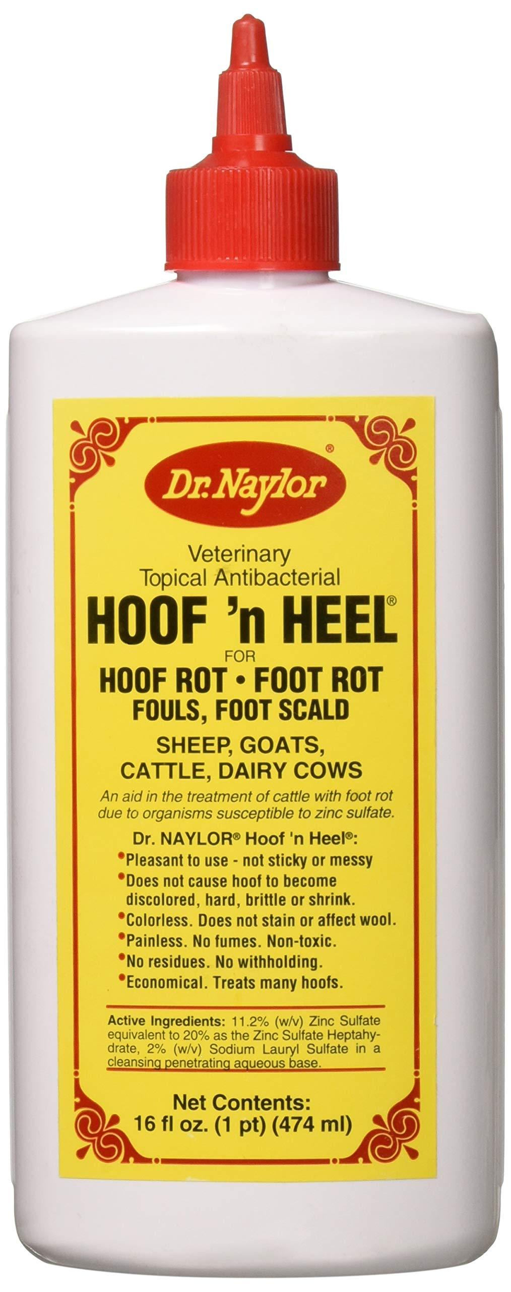 Dr. Naylor Hoof n' Heel (16 oz.) - Traditional Foot Rot Treatment - PawsPlanet Australia