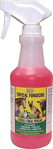 Durvet Topical Fungicide With Spray Pint 16 Oz - PawsPlanet Australia