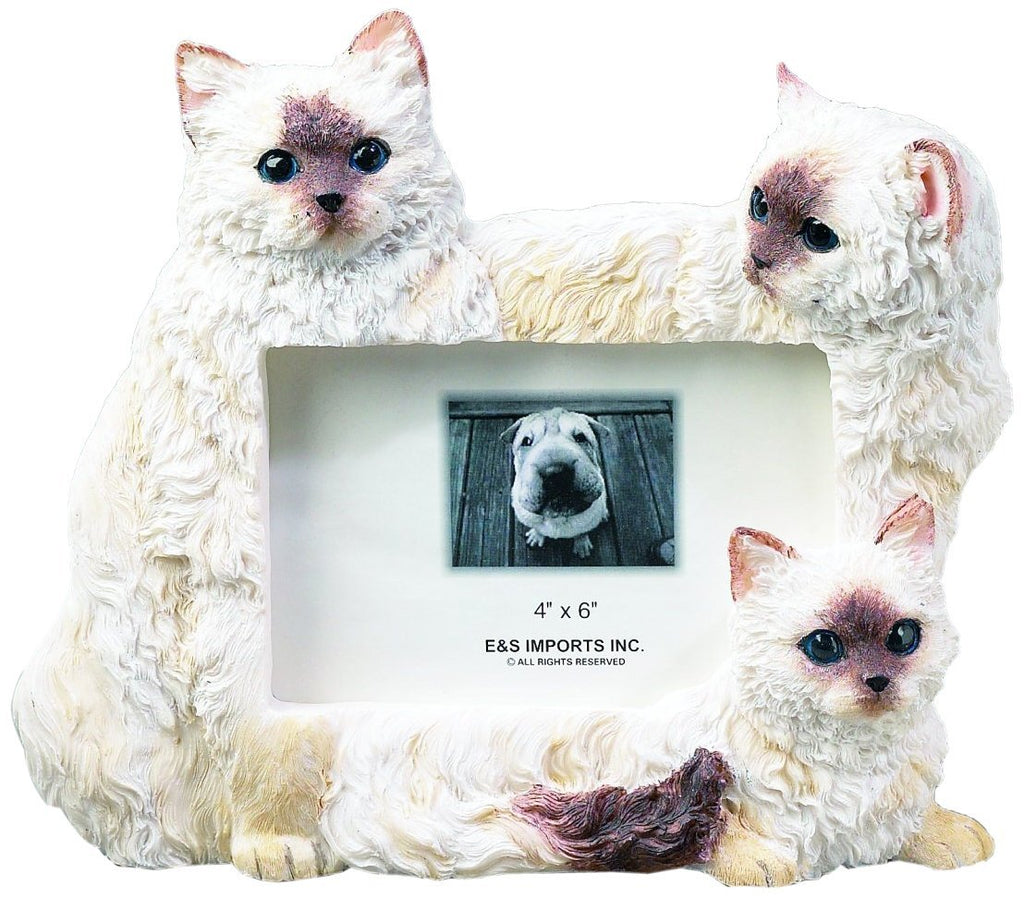 [Australia] - E & S Pets 35297-1 Large Cat Frame 