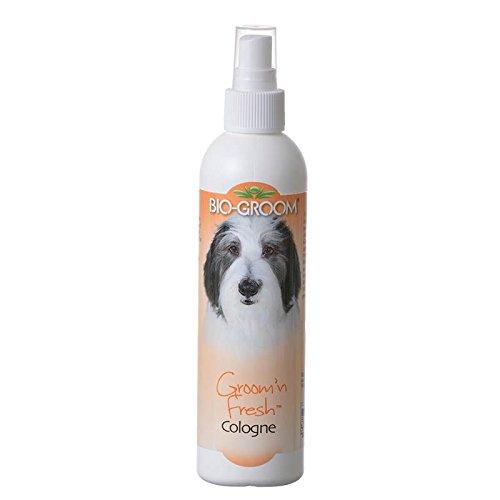 Bio-Groom Groom N Fresh Cologne 8oz - PawsPlanet Australia