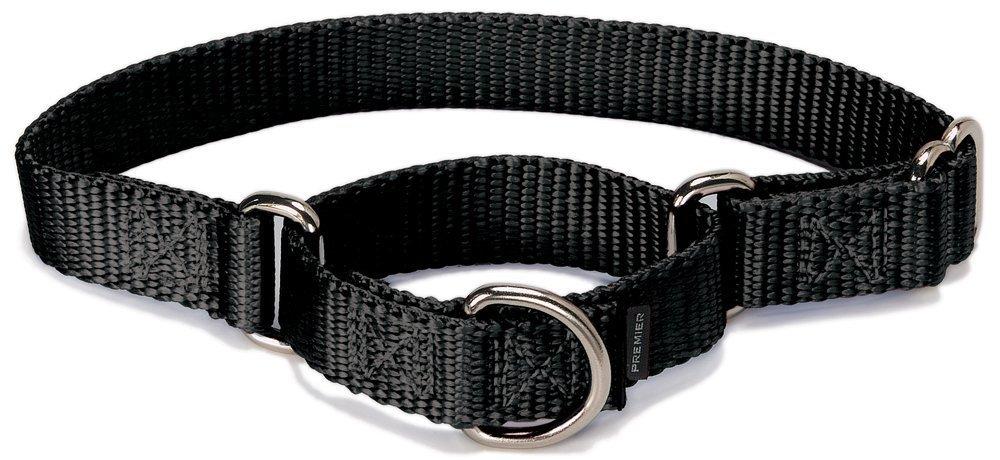 PetSafe Martingale Dog Collar, Alternative to Choke Collar BLACK SMALL (NYLON WIDTH 3/4") - PawsPlanet Australia