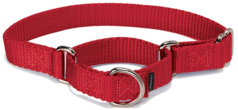 [Australia] - PetSafe Martingale Dog Collar, Alternative to Choke Collar RED MEDIUM (NYLON WIDTH 1") 