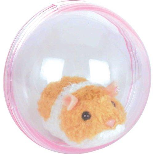 Running Hamster - PawsPlanet Australia