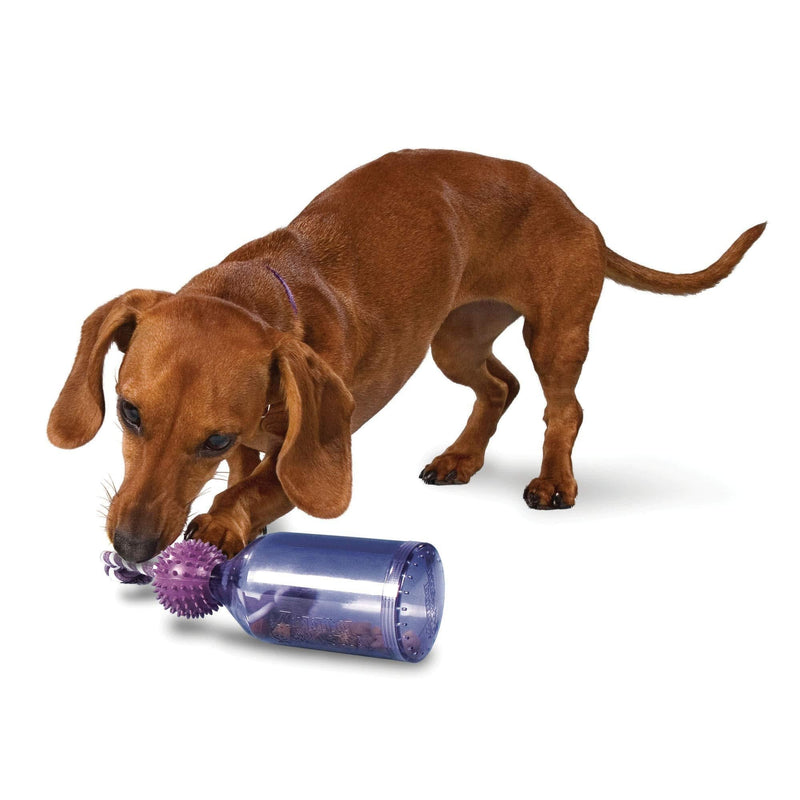 Premier Pet PetSafe Busy Buddy Tug-A-Jug Meal-Dispensing Dog Toy Use with Kibble or Treats - PawsPlanet Australia