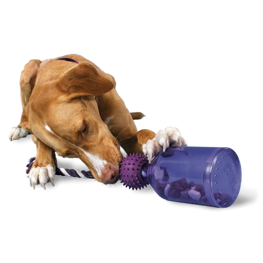 [Australia] - PetSafe Busy Buddy Tug-A-Jug Meal-Dispensing Dog Toy Medium/Large 