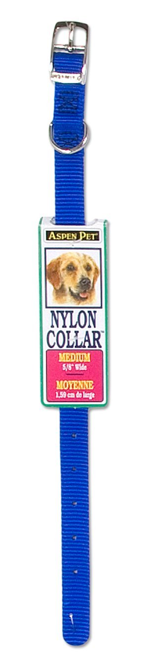 [Australia] - Petmate Aspen PET Products 15508 Nylon Dog Collar, 5/8 by 18-Inch, Blue 