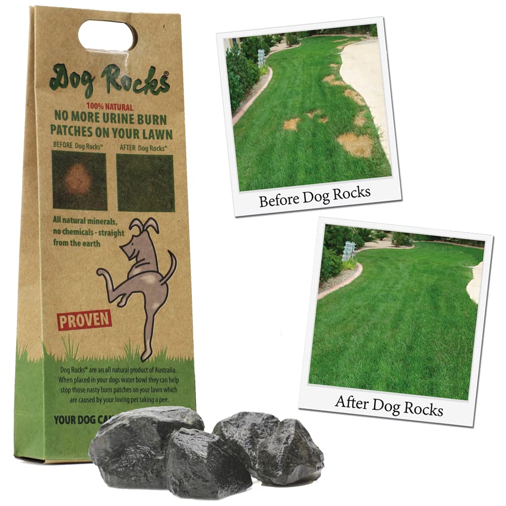 Dog Rocks - Prevent Grass Burn Spots by Urine 200g - Save Your Lawn from Yellow Marks - PawsPlanet Australia