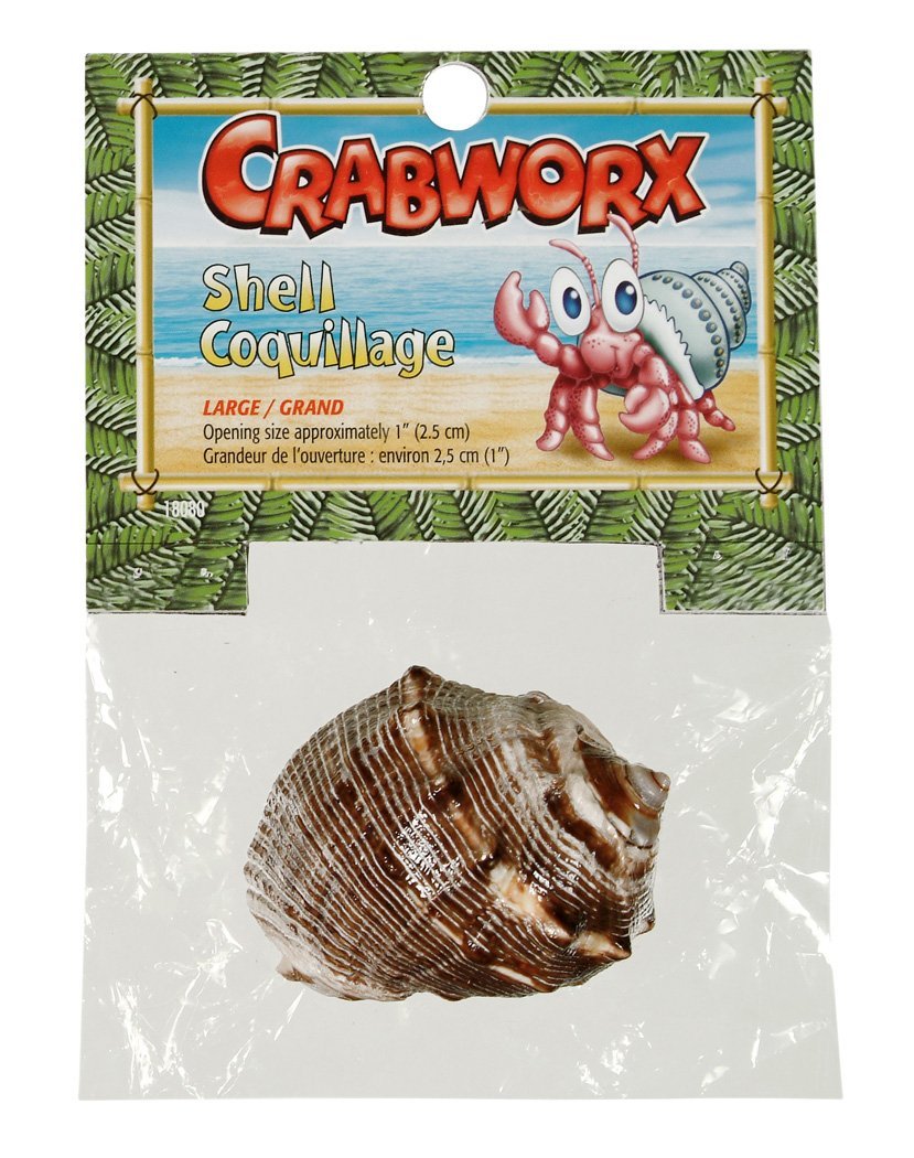 [Australia] - Crabworx Shells, Large 1 Shell 