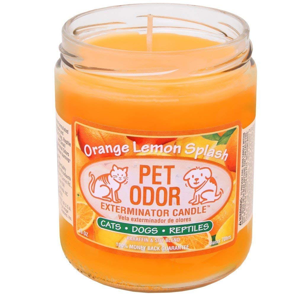 Pet Odor Exterminator Candle, Orange Lemon Splash,13 oz - PawsPlanet Australia