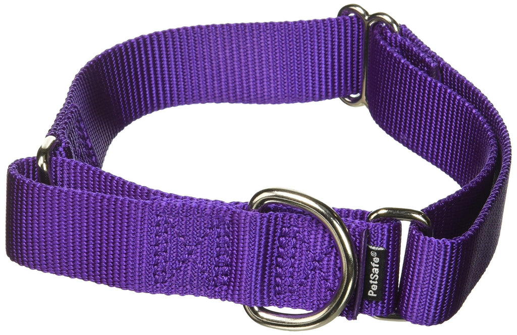 PetSafe Martingale Collar 1" Medium, Deep Purple MEDIUM (NYLON WIDTH 1") - PawsPlanet Australia