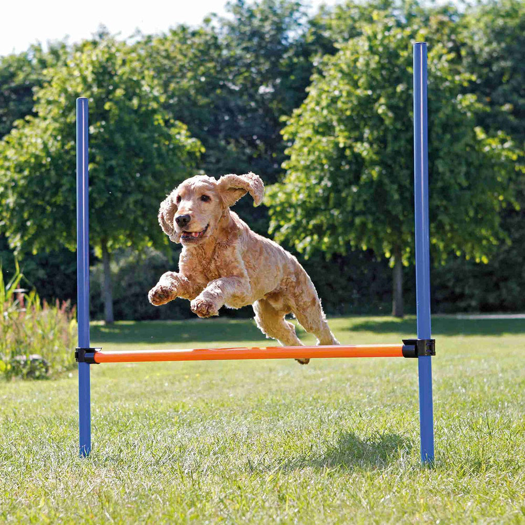 Trixie Dog Activity Agility Hurdle, 123 ﾗ 115 ﾗ 3 cm, Orange/ Blue - PawsPlanet Australia