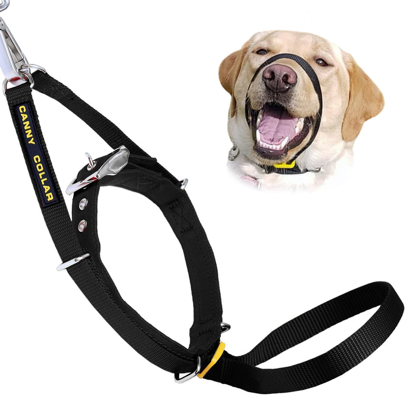 Canny The Canny Collar for Dog Training and Walking, Simple and Effective Help with Dog Training and Helps to Stop Dogs from Pulling on The Lead, Collar for Dog Walking - Black Size 1 - PawsPlanet Australia