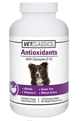 Vet Classics Antioxidants with Coenzyme Q-10 for Dogs, with Alfalfa, Green Tea, Vitamin C, & Wheat Grass, 120 Chewable Tablets - PawsPlanet Australia