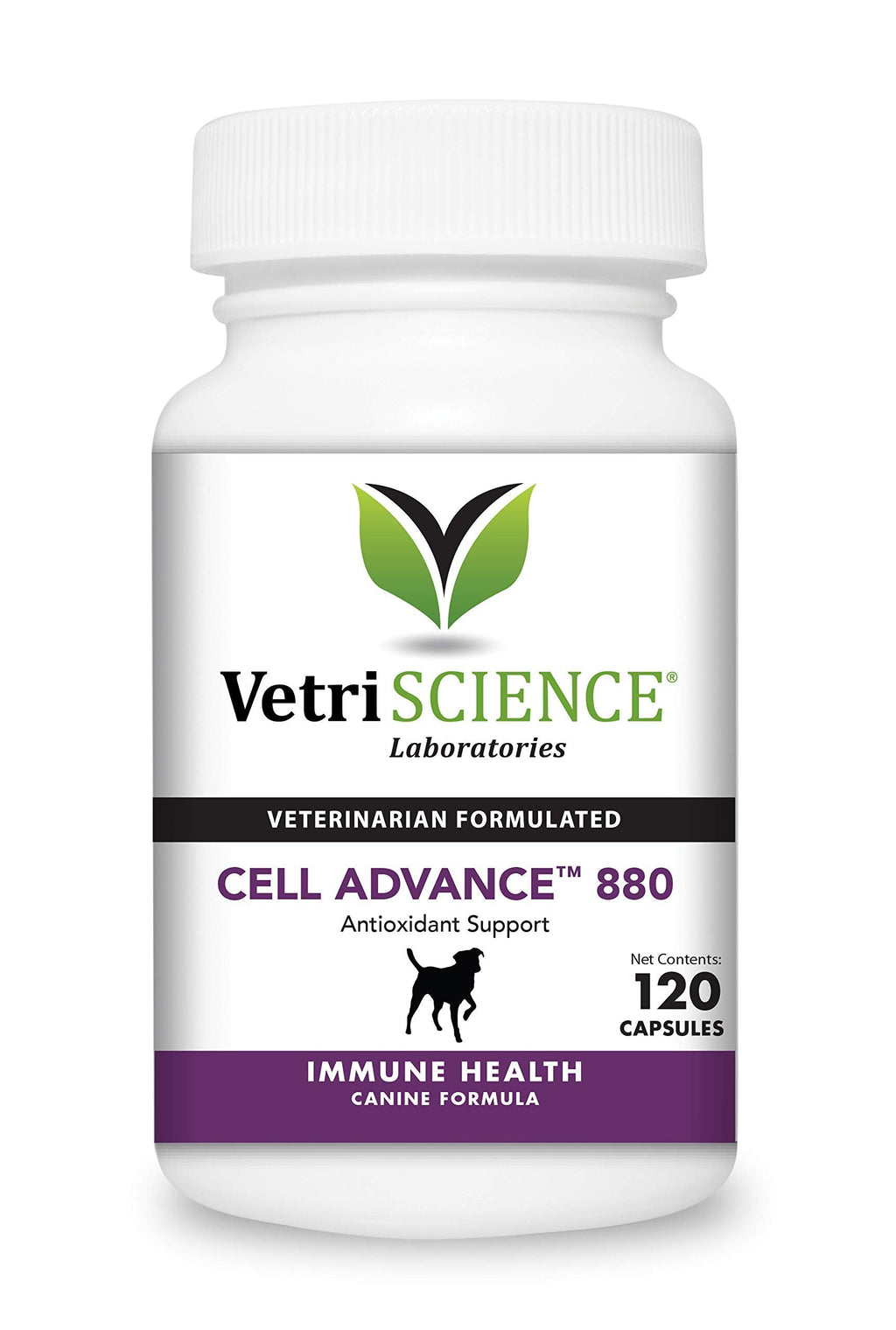 VETRISCIENCE Cell Advance 880 Immune Support Supplement for Dogs Over 30lbs, 120 Capsules - CoQ10, Amino Acids and Multivitamin for Dogs, 120 Capsules (880 mg) - PawsPlanet Australia