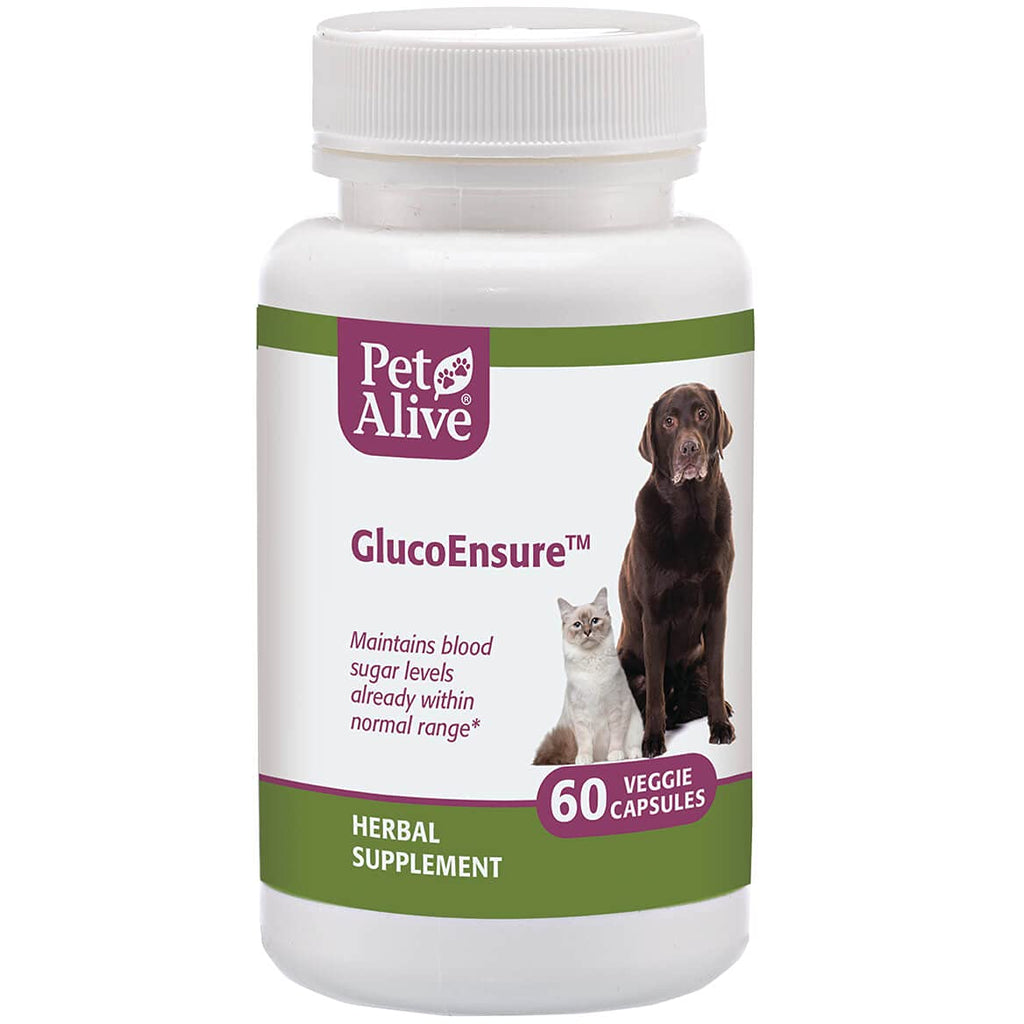 PetAlive GlucoEnsure - All Natural Herbal Supplement for Maintaining Blood Sugar (Glucose) Levels Already in The Normal Range in Pets - 59 mL - PawsPlanet Australia