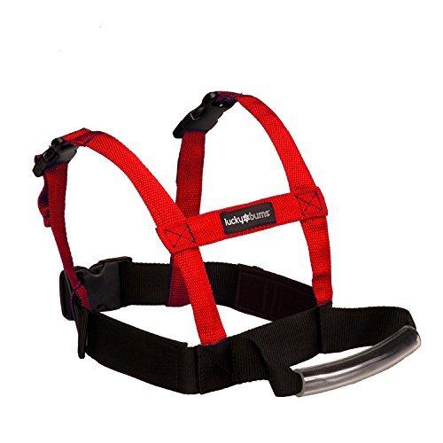 [Australia] - Lucky Bums Grip N Guide Kid's Ski Training Harness, Red 