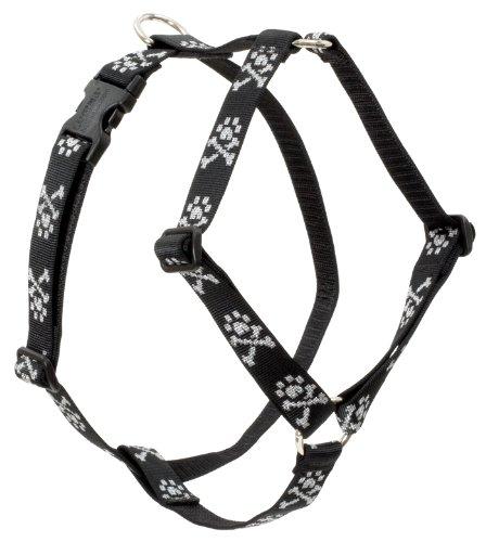 [Australia] - Lupine 1 inch Bling Bonz Roman Dog Harness 24-38-Inch 