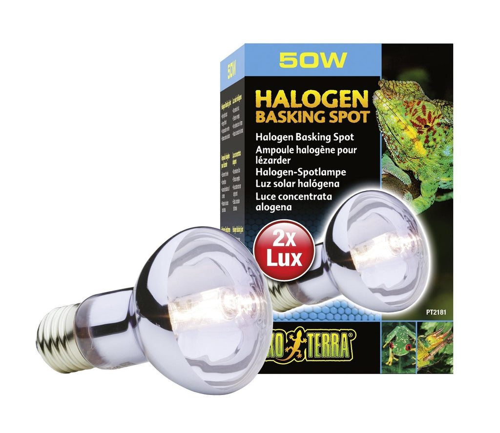 [Australia] - Exo Terra Sun-Glo Daylight Halogen Lamp 50 Watts Standard Packaging 