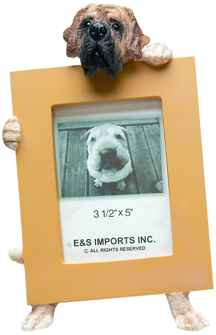 [Australia] - English Mastiff Picture Frame Holds Your Favorite 2.5 by 3.5 Inch Photo, Hand Painted Realistic Looking English Mastiff Stands 6 Inches Tall Holding Beautifully Crafted Frame, Unique and Special English Mastiff Gifts for English Mastiff Owners 