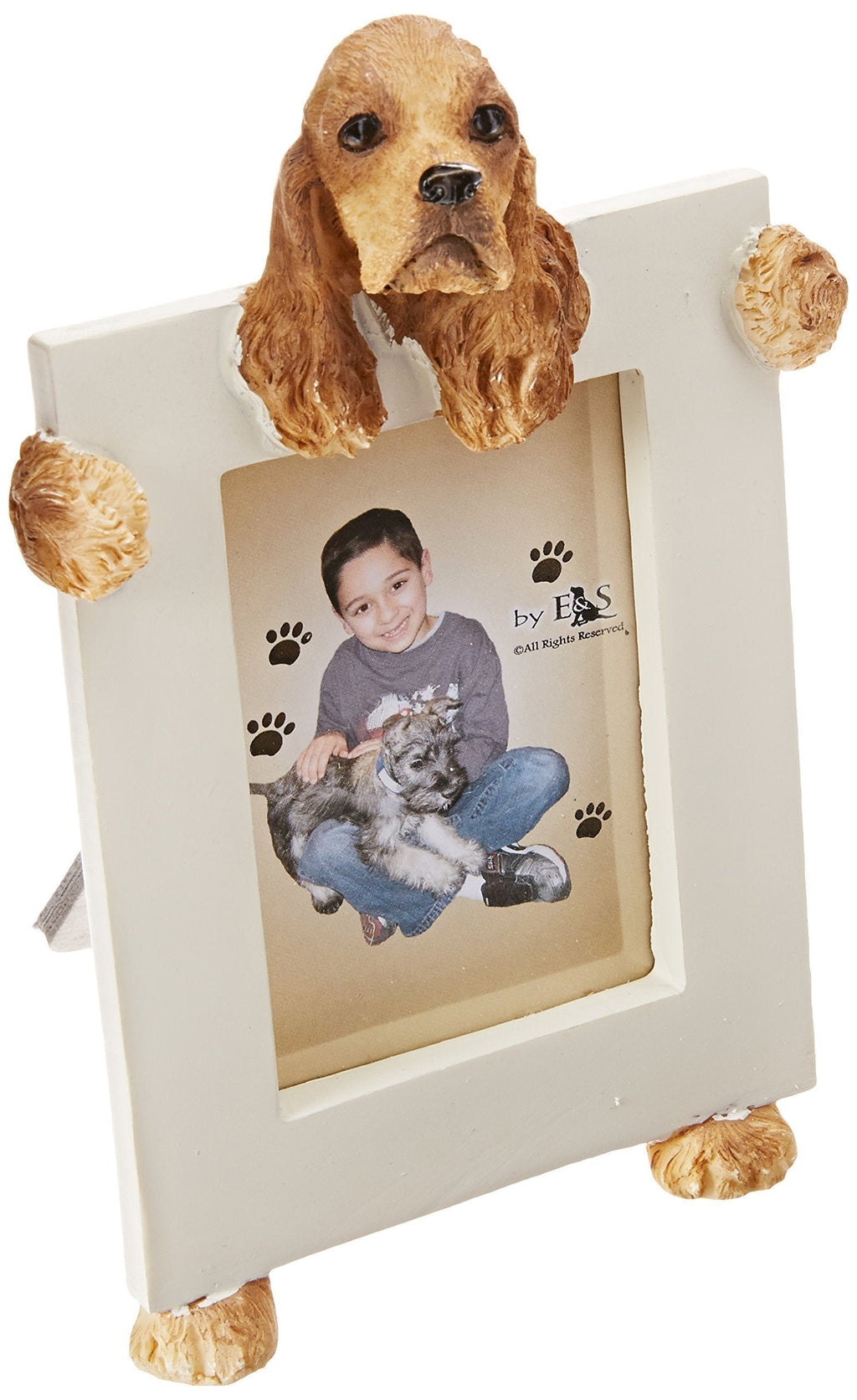 [Australia] - Buff and White Cocker Spaniel Picture Frame Holds Your Favorite 2.5 by 3.5 Inch Photo, Hand Painted Realistic Looking Cocker Spaniel Stands 6 Inches Tall Holding Beautifully Crafted Frame, Unique and Special Cocker Spaniel Gifts for Cocker Spaniel Owners 