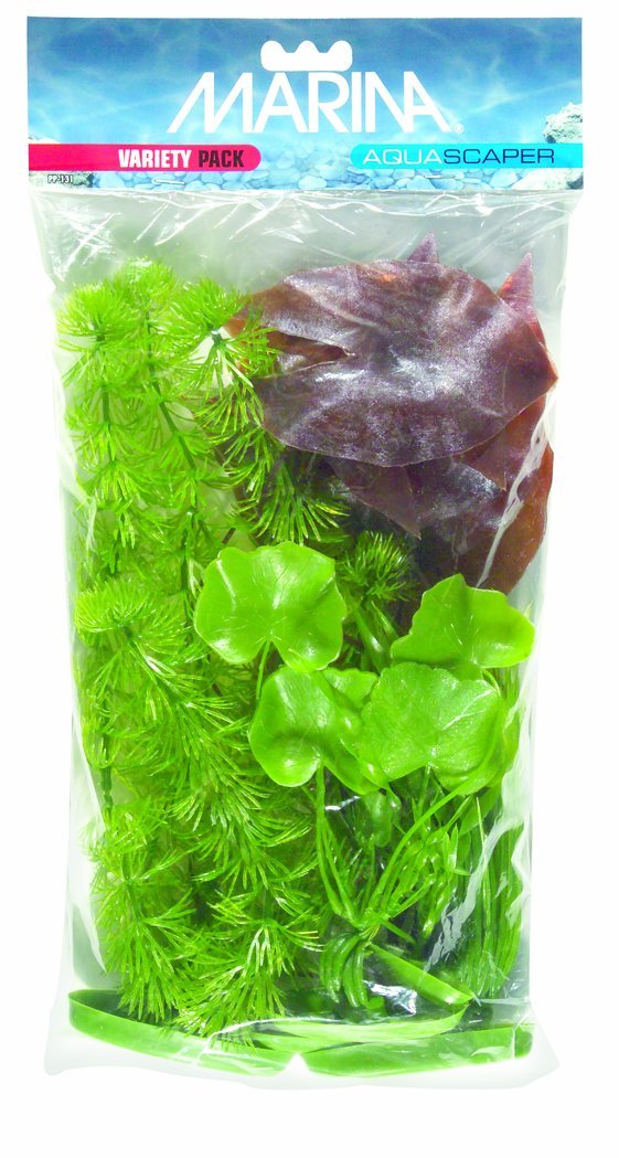 [Australia] - Marina Aquascaper Variety Pack including Hornwort, Dwarf Lily, Corkscrew Vallisneria, Banana Plant, Hairgrass 
