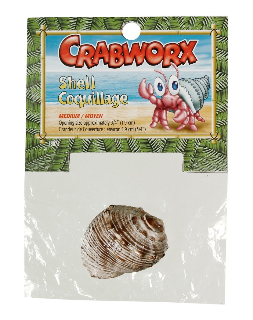 [Australia] - Crabworx Shell, Medium 1 Shell 