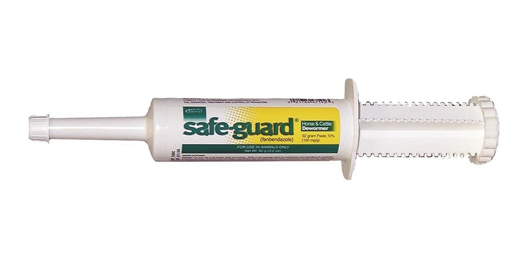 Intervet Safeguard Dewormer Paste for Horses, 92gm - PawsPlanet Australia