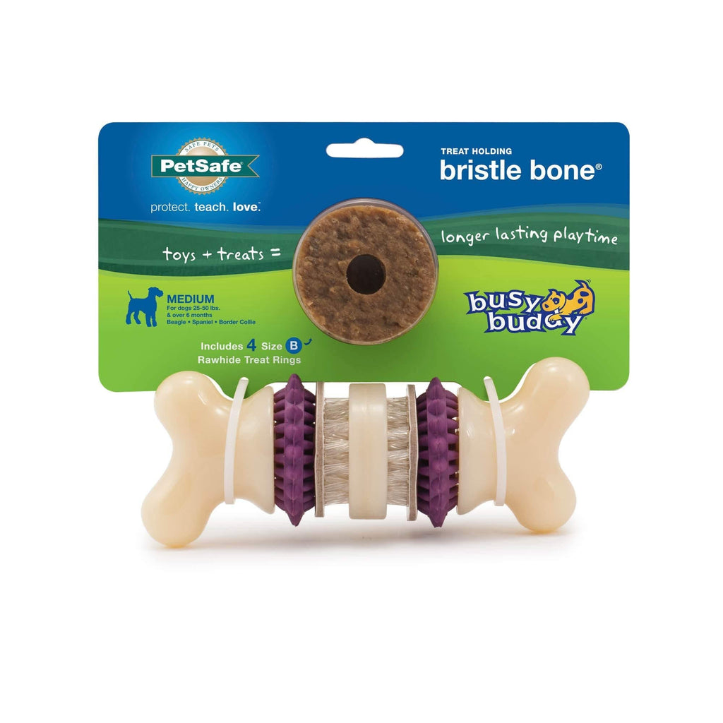 [Australia] - PetSafe Busy Buddy Bristle Bone Chew Toy for Dogs – Strong Chewers – Helps Clean Teeth – Extra Small, Small, Medium, Large 