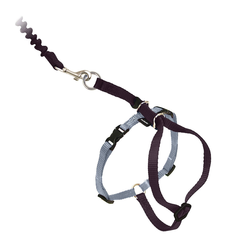 [Australia] - PetSafe Come with Me Kitty Harness and Bungee Leash, Harness for Cats Small BLACK/SILVER 