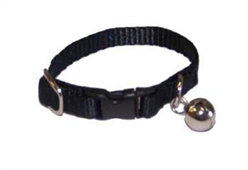 Marshall Ferret Bell Collar Black - PawsPlanet Australia